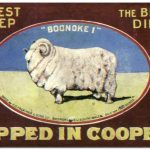 Coopers Famous Sheep Dip