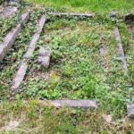 Bell plot